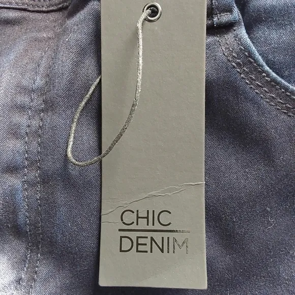 012 - Plus Size Asha Regular High Rise Skinny Jean - denim | CITY CHIC | 12 R