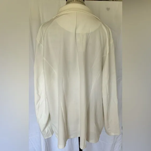 Agnes Orinda Womens Velvet Accent Blazer in Classic Cream Sz 2X