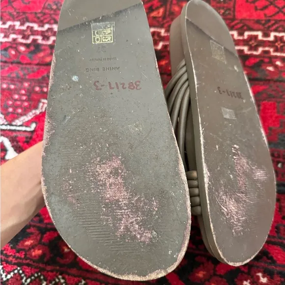 Anine bing Ipanema slides Sandals