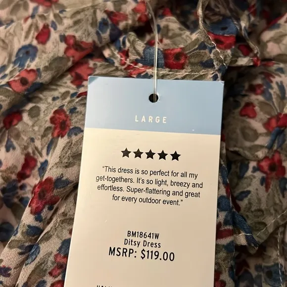 BB Dakota by Steve Madden Women's Chiffon prairie blue pink Floral Size large