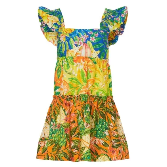Farm Rio Caipirinha Tiered Mini Dress Size Small