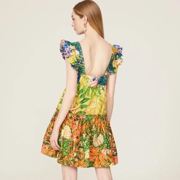 Farm Rio Caipirinha Tiered Mini Dress Size Small