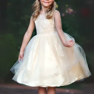 Flower Girl Dress, Girls Formal Dress, Tulle Lace Champagne Toddler Dress, #30