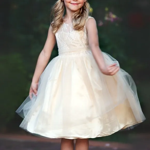 Flower Girl Dress, Girls Formal Dress, Tulle Lace Champagne Toddler Dress, #30