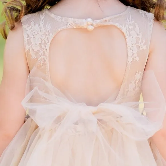 Flower Girl Dress, Girls Formal Dress, Tulle Lace Champagne Toddler Dress, #30