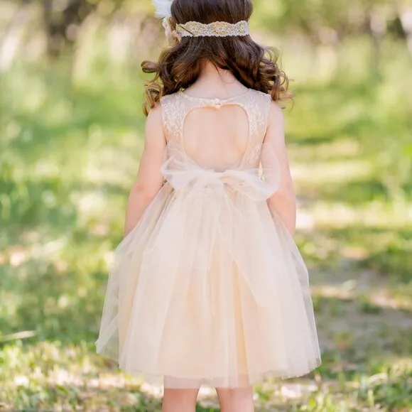Flower Girl Dress, Girls Formal Dress, Tulle Lace Champagne Toddler Dress, #30