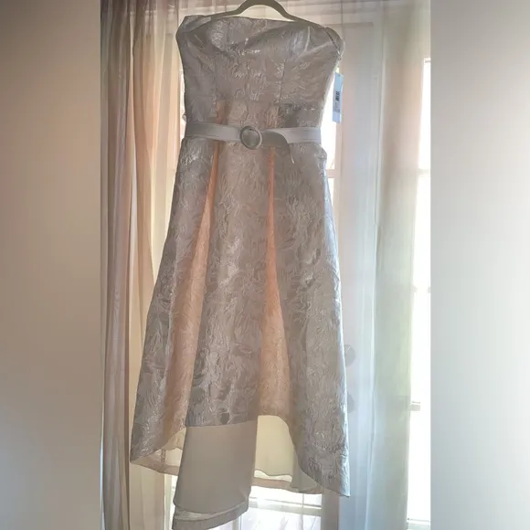 KAY UNGER Bella Strapless Hi-lo Hem Gown   free Gorjana earrings ($80)