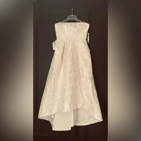KAY UNGER Bella Strapless Hi-lo Hem Gown   free Gorjana earrings