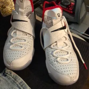 Labron Nike’s sneakers