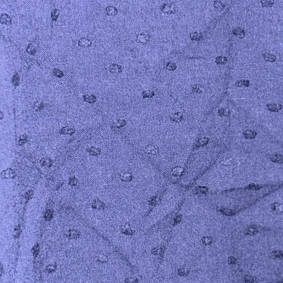 Navy Swiss Dot Callahan Shirt Dress