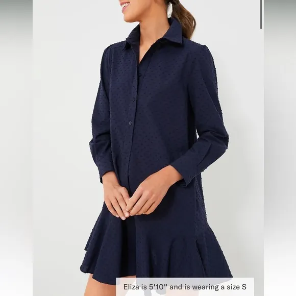 Navy Swiss Dot Callahan Shirt Dress