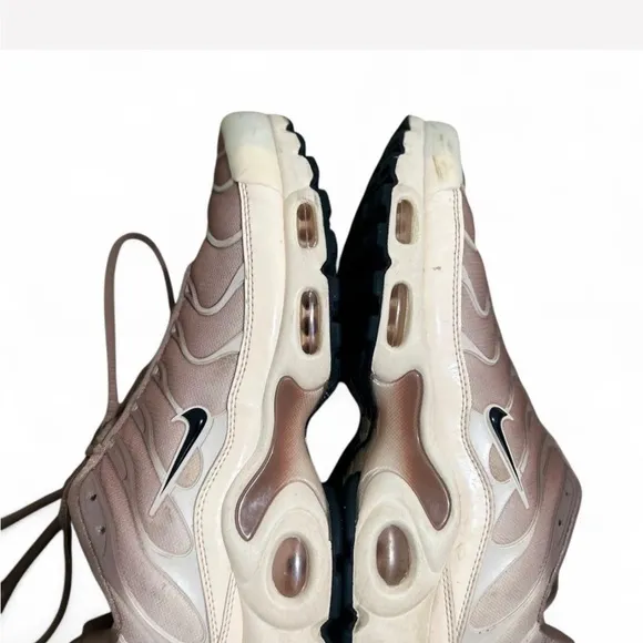 Nike Air Max Plus TN Sneakers in Mauve Gradient