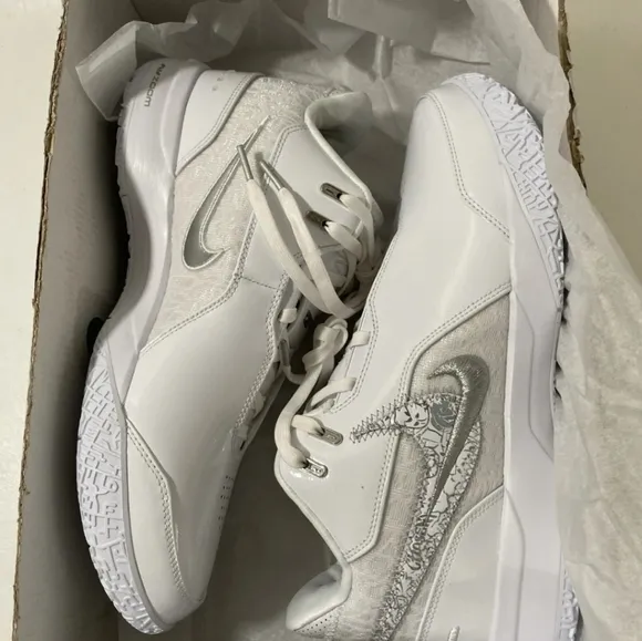 Nike ZM LeBron NXXT Gen AMPD S12 White Metallic Silver Men Basketball FJ1567-102