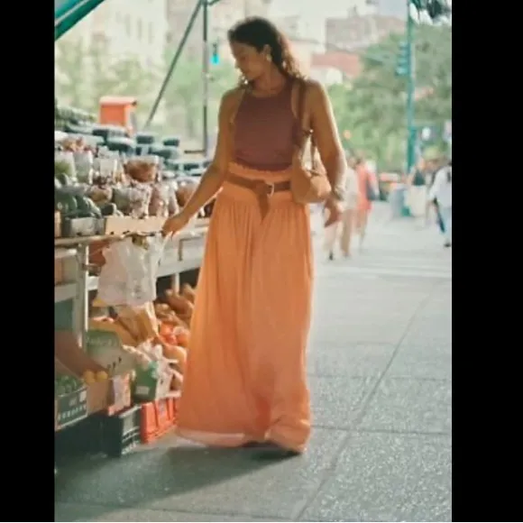 NWOT By Anthropologie Smocked Sheer Maxi Skirt