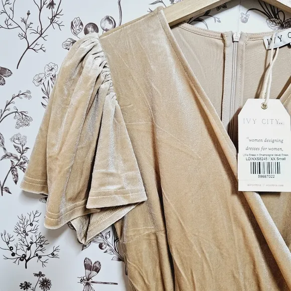 NWT Ivy City Co Lillie dress in champagne velvet sz XXS