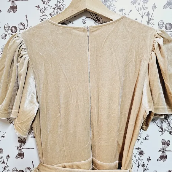 NWT Ivy City Co Lillie dress in champagne velvet sz XXS