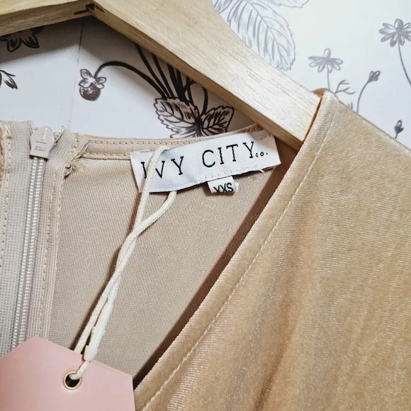 NWT Ivy City Co Lillie dress in champagne velvet sz XXS