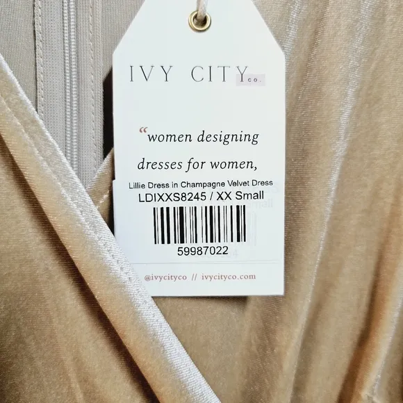 NWT Ivy City Co Lillie dress in champagne velvet sz XXS