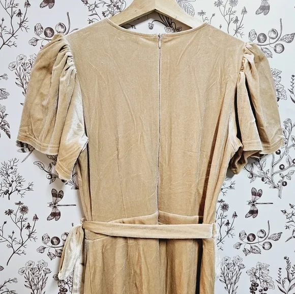 NWT Ivy City Co Lillie dress in champagne velvet sz XXS