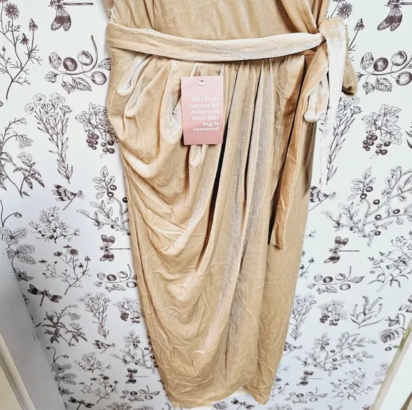 NWT Ivy City Co Lillie dress in champagne velvet sz XXS