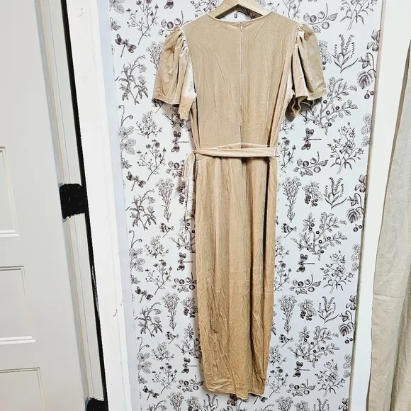 NWT Ivy City Co Lillie dress in champagne velvet sz XXS