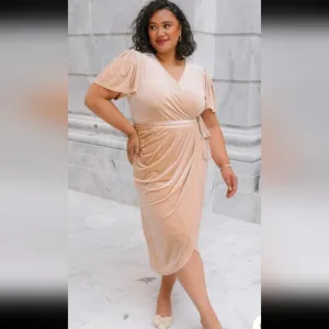 NWT Ivy City Co Lillie dress in champagne velvet sz XXS