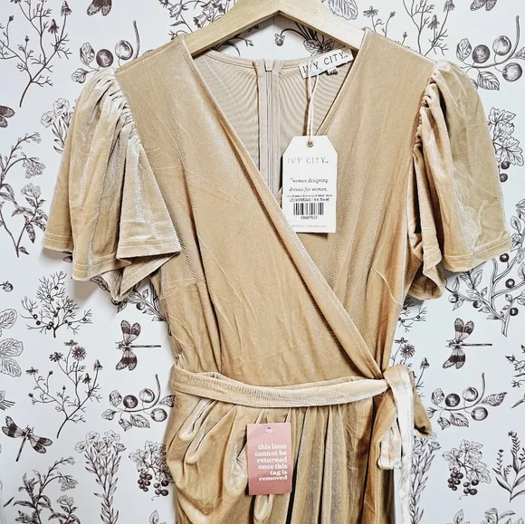 NWT Ivy City Co Lillie dress in champagne velvet sz XXS