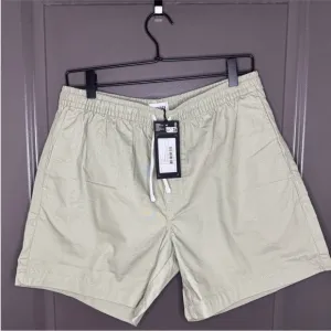 ☀️☀️NWT Men's Weekday Zed Regular Fit Shorts | Serene Sage Green | Size M