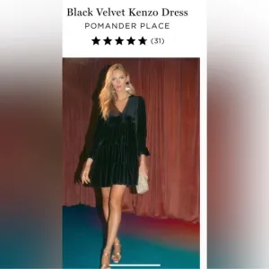 POMANDER PLACE Black Velvet Kenzo Tired Mini Dress
