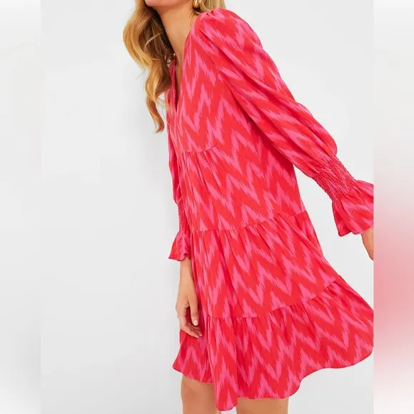 POMANDER PLACE Hot Pink Ikat Kenzo Dress Large