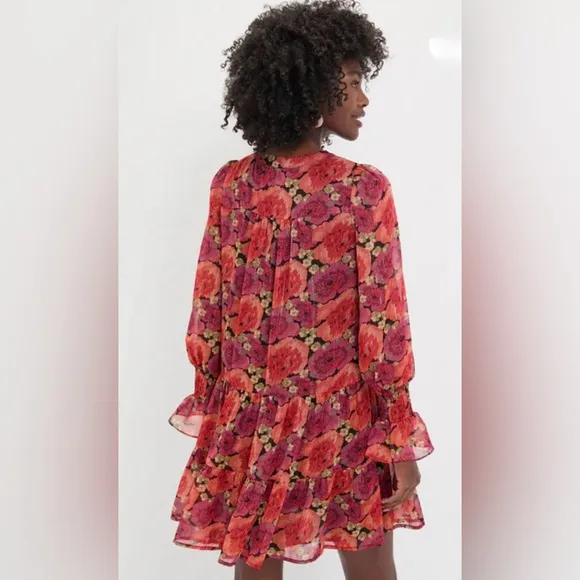TUCKERNUCK   POMANDER PLACE Rose Chiffon Kenzo Dress | Large | NWT | Stunning