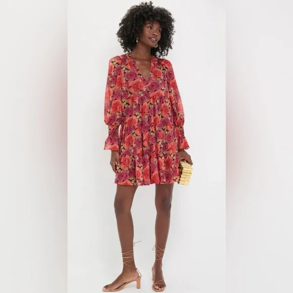 TUCKERNUCK   POMANDER PLACE Rose Chiffon Kenzo Dress | Large | NWT | Stunning