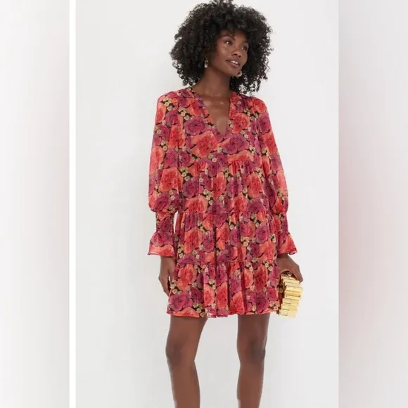 TUCKERNUCK   POMANDER PLACE Rose Chiffon Kenzo Dress | Large | NWT | Stunning